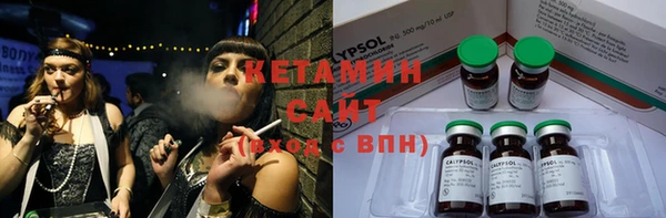 шишки Алзамай