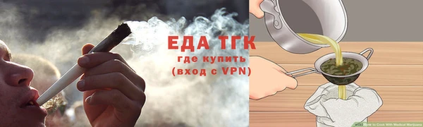 молекула духа Арсеньев