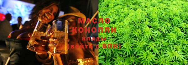 молекула духа Арсеньев