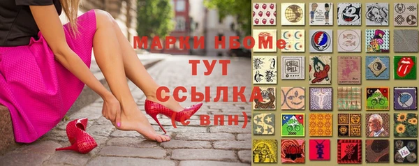 молекула духа Арсеньев