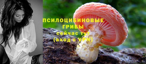 кокс Армянск
