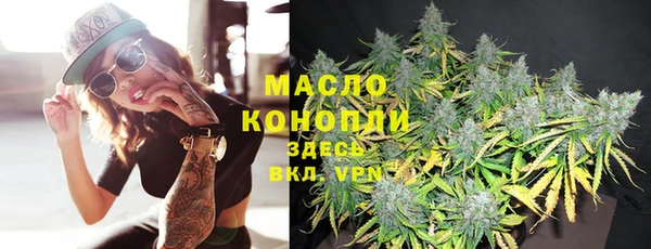 молекула духа Арсеньев