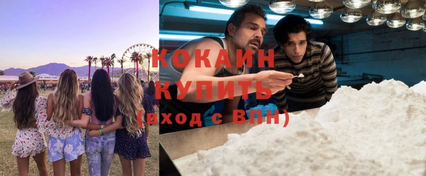молекула духа Арсеньев