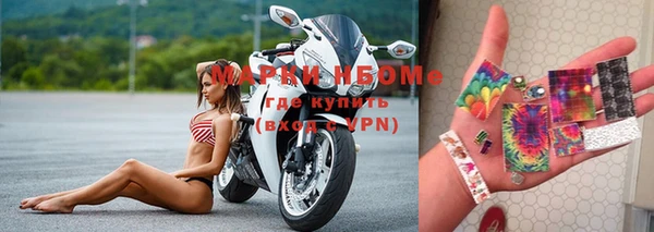 молекула духа Арсеньев